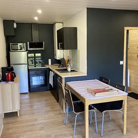 Cocon Montagne Rocher Du Cerf Appartement Le Lioran